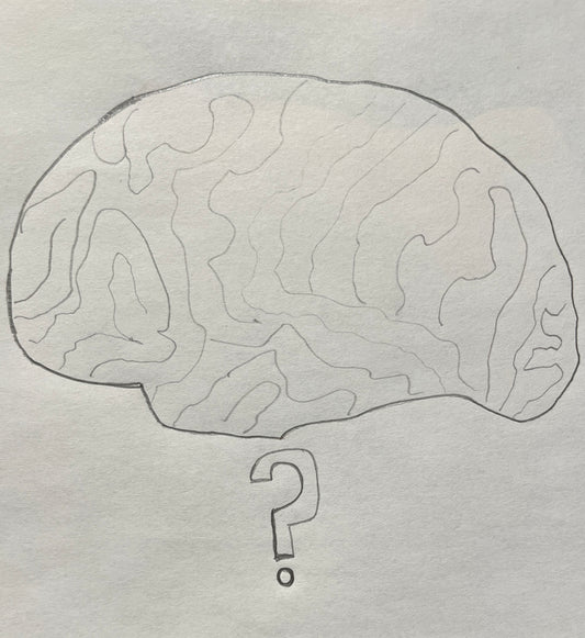 The Neuroscience of Conversation: How Our Brains Process Language