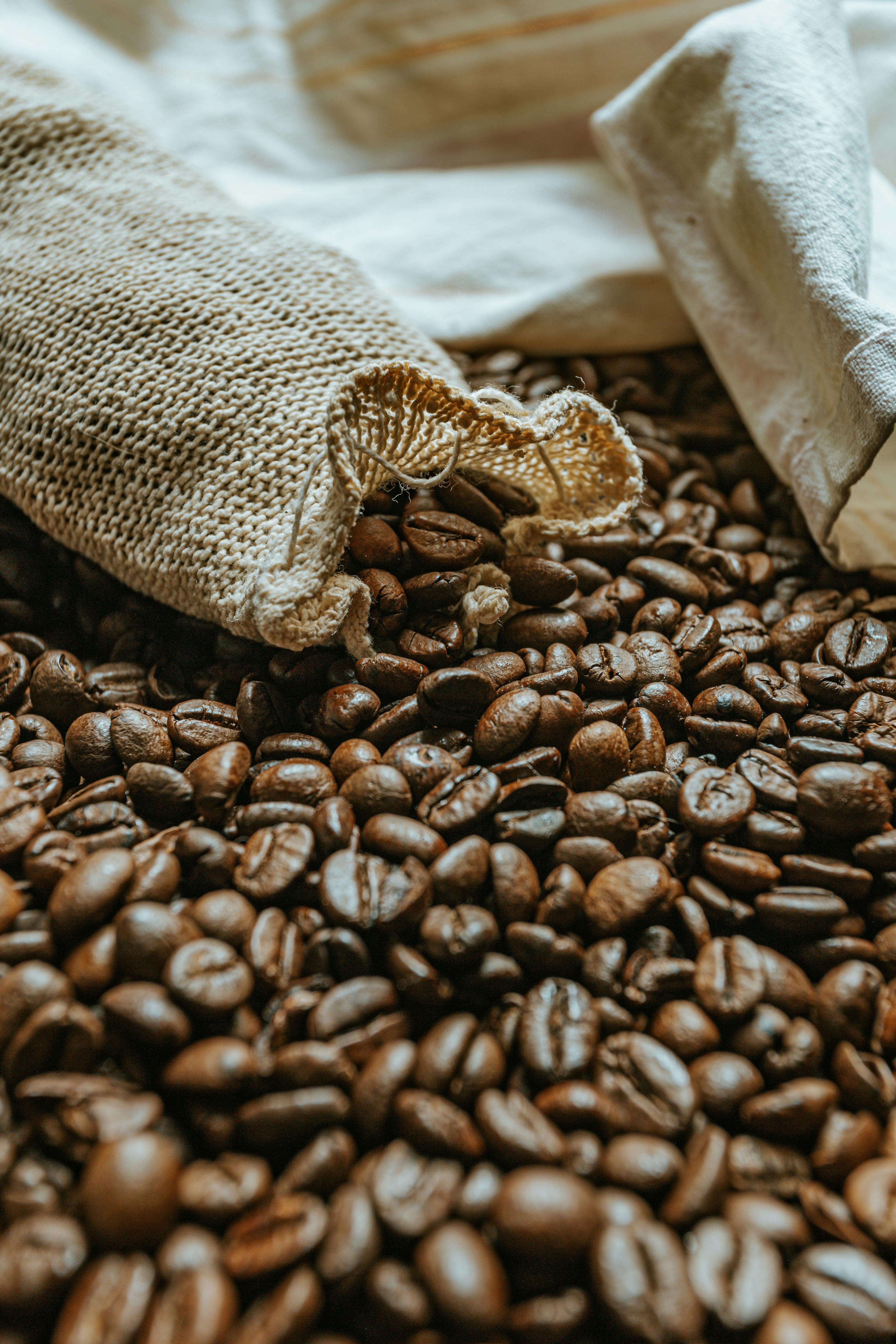 The First Sack: Choosing Gratitude Over Comparison