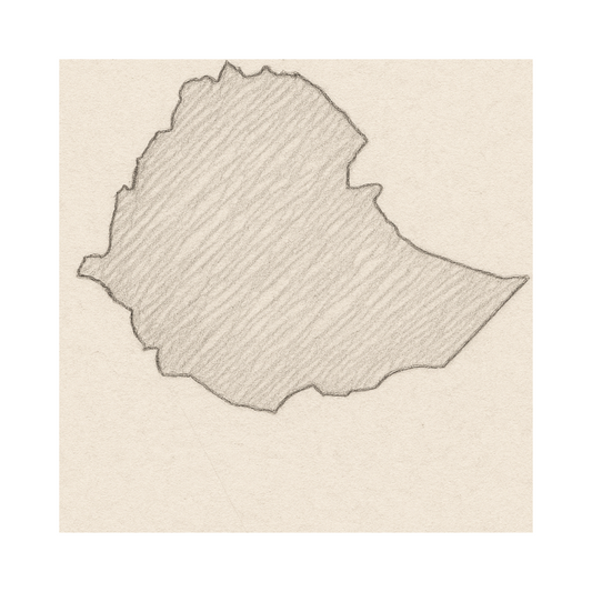 Ethiopia Sidamo
